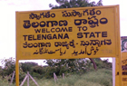 Indias 29th state - UPA panel endorses Telangana statehood